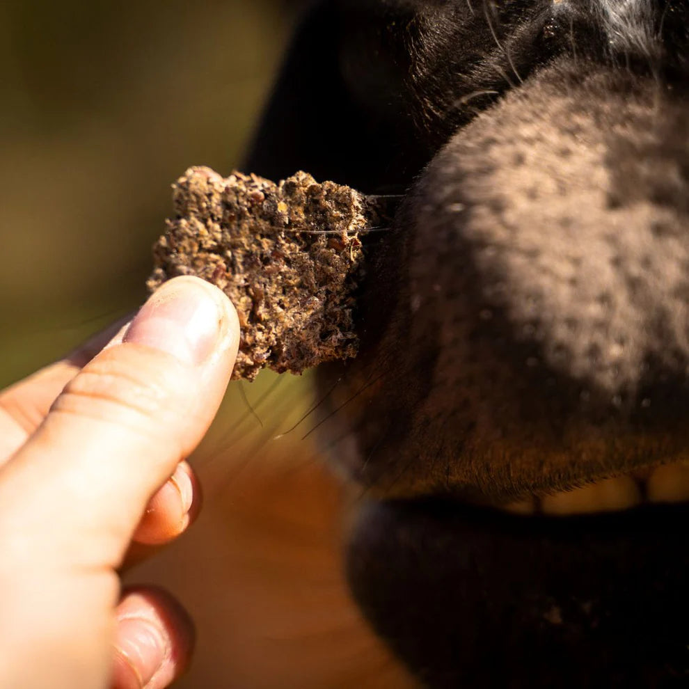 GRAINFREE MENTHE POIVRÉE | SANS CÉRÉALES