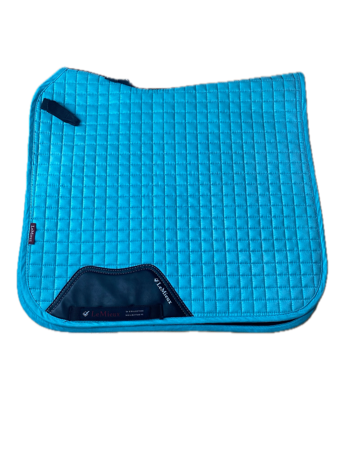 Tapis Lemieux Square Dressage en suédine azure