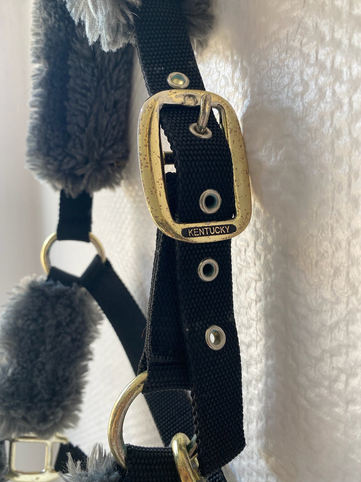 Licol Kentucky mouton gris – Taille poney