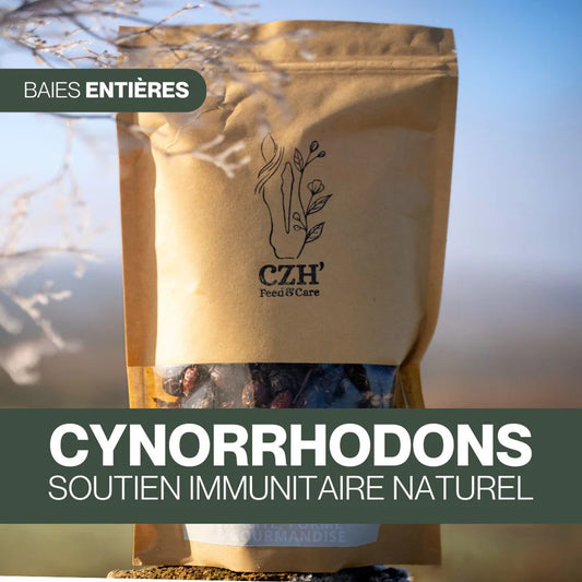 Baies de Cynorrhodons